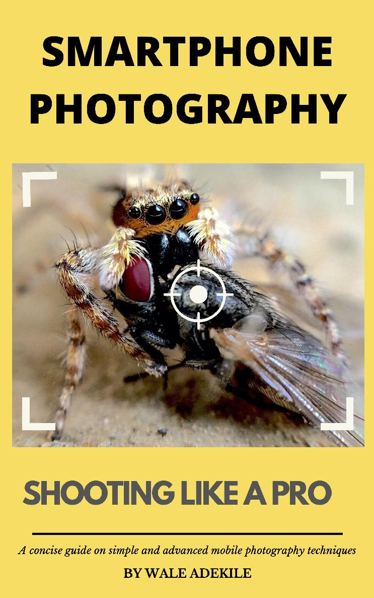 Smartphone Photography